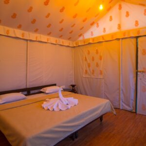 Kutch Resort, Stay - Wanderer Tour